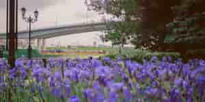 Rostov-on-Don